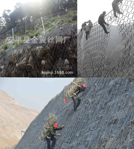 未标题-1.jpg