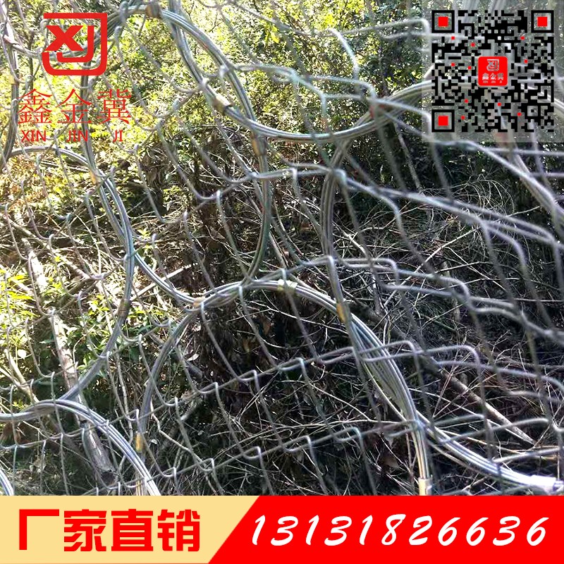 环形边坡防护网.jpg